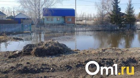 Стало известно, каким районам севера Омской области грозит паводок