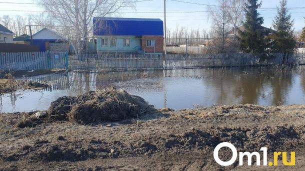 Стало известно, каким районам севера Омской области грозит паводок