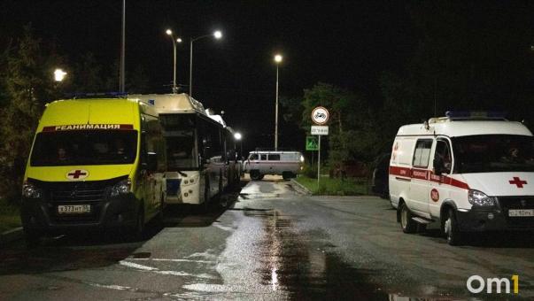 В Омской области трёхлетняя девочка попала под колёса минивэна