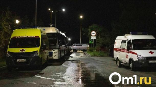 В Омской области трёхлетняя девочка попала под колёса минивэна
