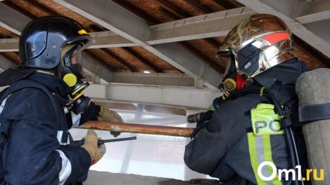 28 возгораний за сутки: Новосибирская область в зоне риска весенних пожаров