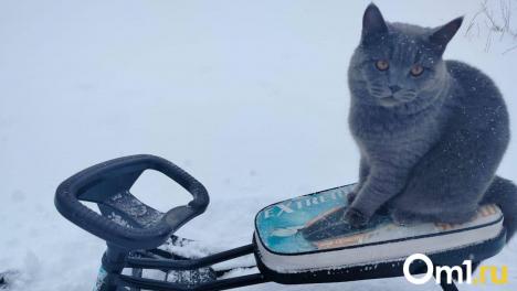 Омские энергетики и коммунальщики перейдут в режим повышенной готовности из-за холодов