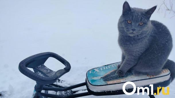 Омские энергетики и коммунальщики перейдут в режим повышенной готовности из-за холодов