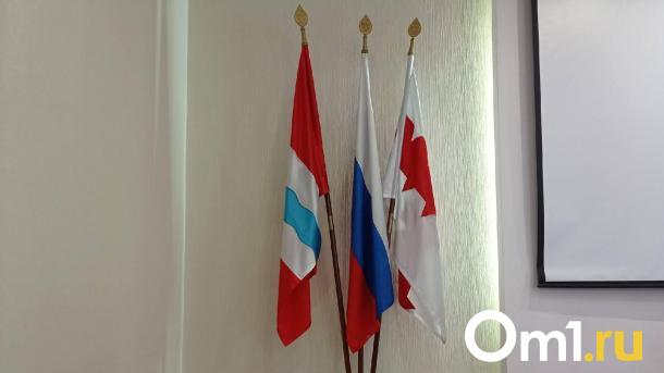 В омский Минспорт пришёл чиновник со званием мастера спорта по кикбоксингу
