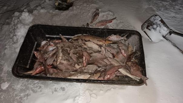 Мужчину с уловом на 100 тысяч рублей задержали в Новосибирской области