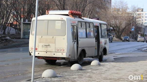 Вызывает гипертонию и спазмы: чем опасна пыль для новосибирцев, рассказал врач