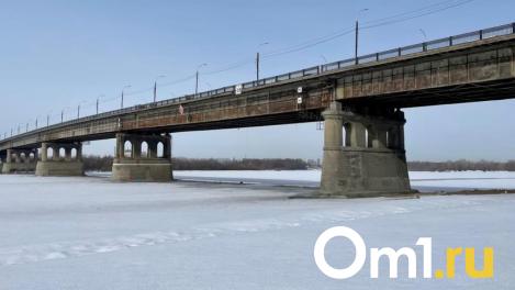 Омич поймал в черте города рака