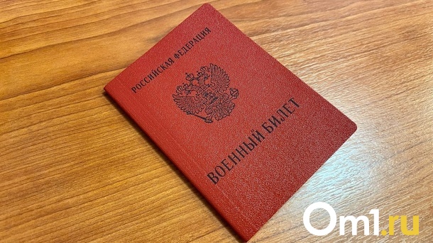 Опубликованы фальшивые мобилизационные списки россиян