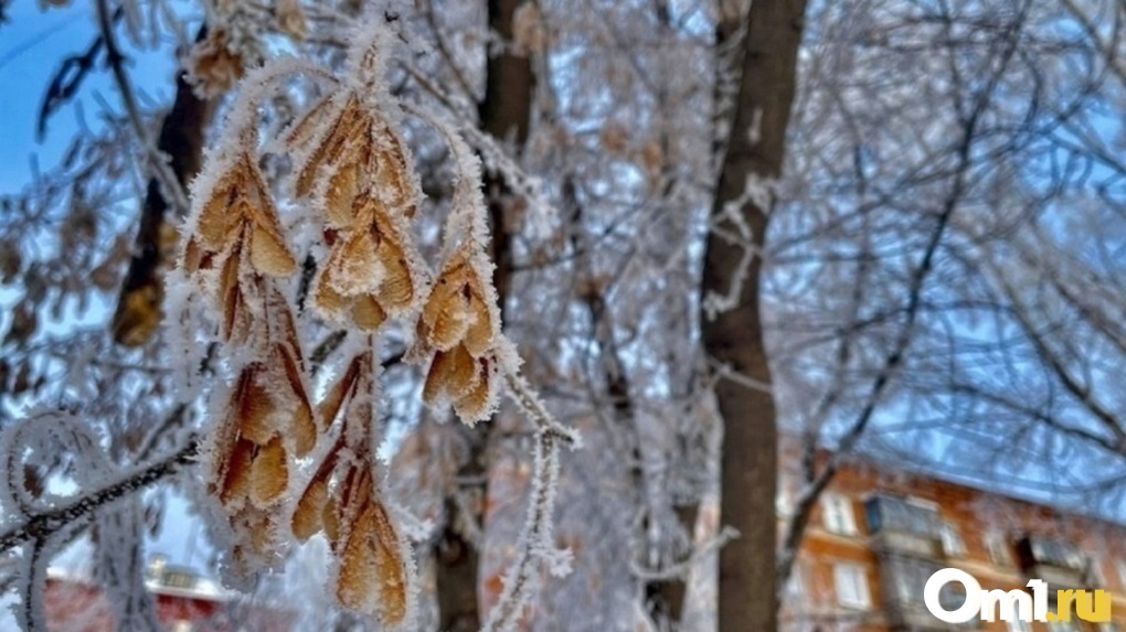 Морозы до -21 градуса ударят в Новосибирске в середине марта