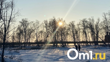 В последний месяц календарной зимы в Омской области ударят мощные морозы до -33