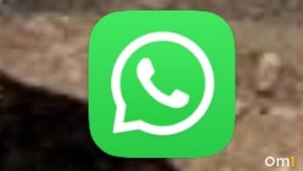 О платном WhatsApp предупредили новосибирцев