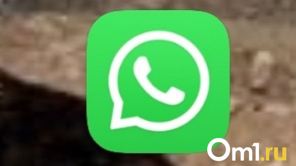 О платном WhatsApp предупредили новосибирцев