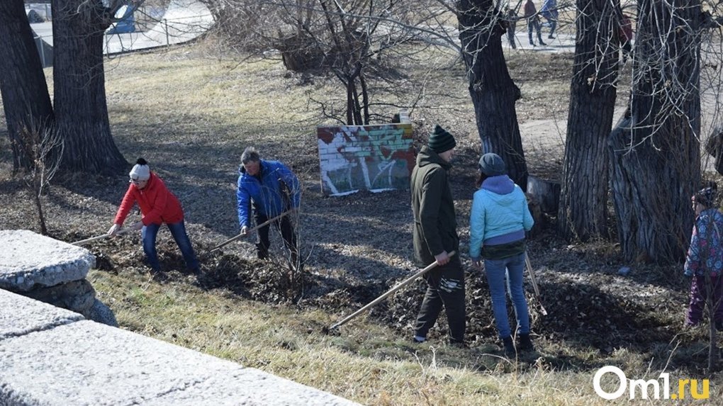 В Омске перед 9 мая во время субботника высадили 340 деревьев и 143 кустарника