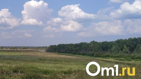 В омской «Птичей гавани» к концу сентября обновят тротуарные дорожки