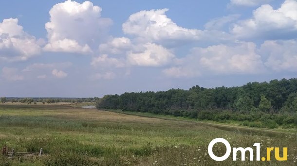 В омской «Птичей гавани» к концу сентября обновят тротуарные дорожки