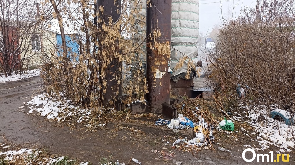 Женщина, просидевшая ночь в яме теплотрассы в Омске, оказалась женой мобилизованного