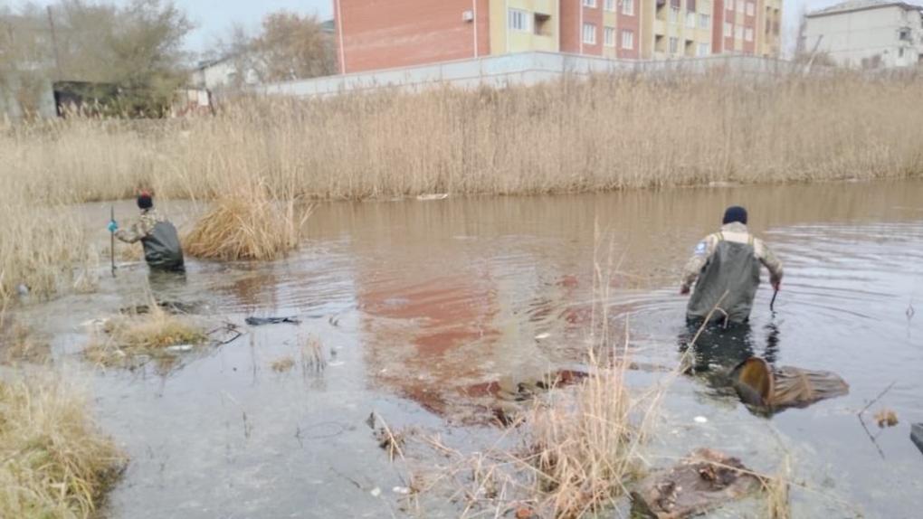 Омские волонтёры показали место, где нашли погибшую пенсионерку