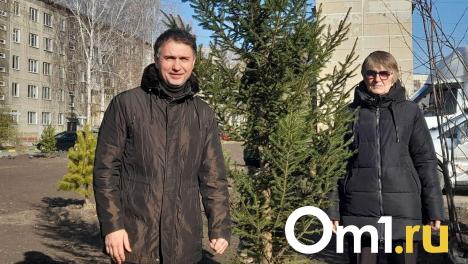 Новые парковки, сквер и ливнёвка: двор на Чемской преобразился после обращений новосибирцев