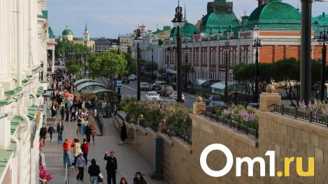 Власти сообщили, сколько омичей посетили пешеходный Любинский за месяц