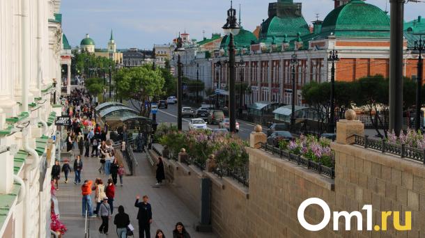 Власти сообщили, сколько омичей посетили пешеходный Любинский за месяц