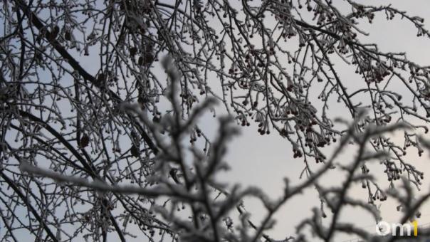 Понижение до -22 и снег. Зима в Омске ещё покажет характер