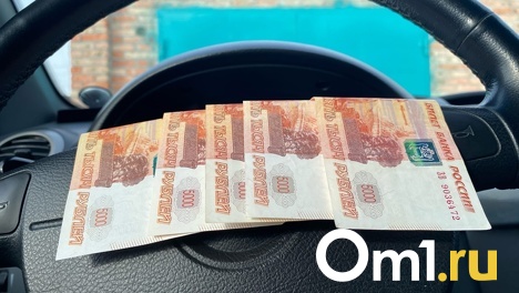 Положил 30 тысяч на коробку передач. Омич попытался дать взятку сотрудникам ГИБДД