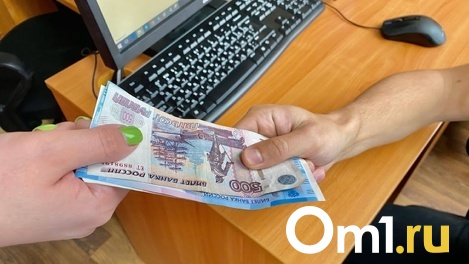 Плюс в добыче сырья, минус в автобизнесе: омичи рассказали, как росли и падали их зарплаты в 2022 году