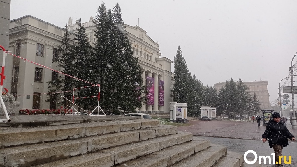 Снегопад сняли жители Новосибирска. ВИДЕО