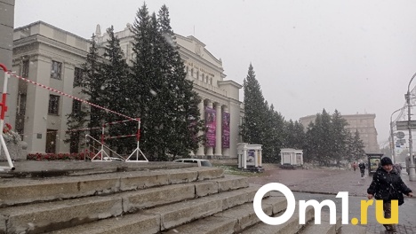 Снегопад сняли жители Новосибирска. ВИДЕО