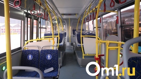 Омичка отсудила 160 тысяч рублей за падение в автобусе