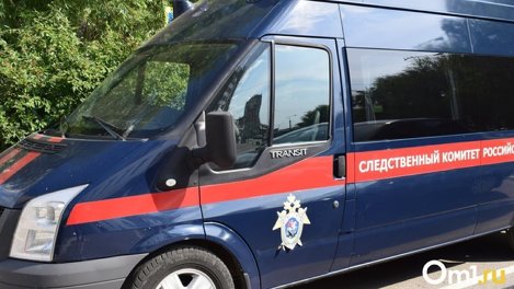 Глава СК Бастрыкин заинтересовался омским домом, где обвалился потолок