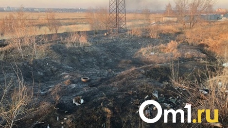 В Омской области лесопожарная бригада собиралась работать без трактора и с неработающими огнетушителями