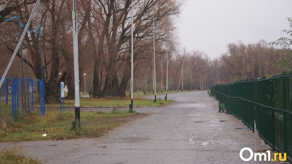 Фото парк зеленый остров