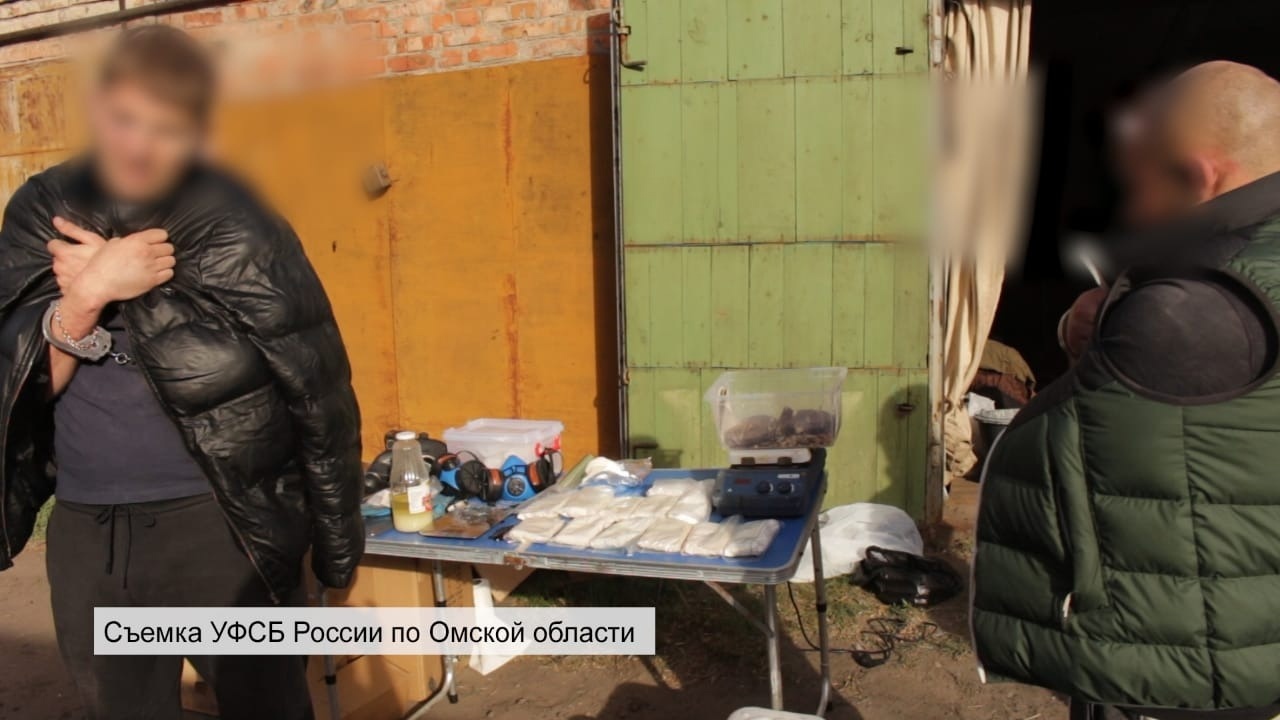 Сейзар Купить В Омске