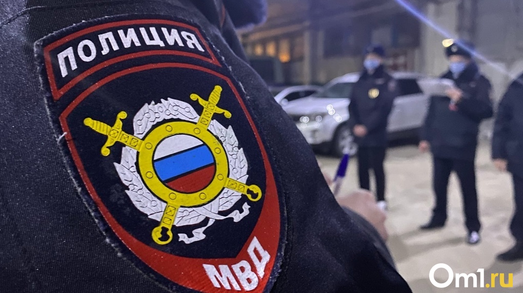 Омских полицейских, которые участвовали в расследовании тройного убийства семьи, представят к поощрению
