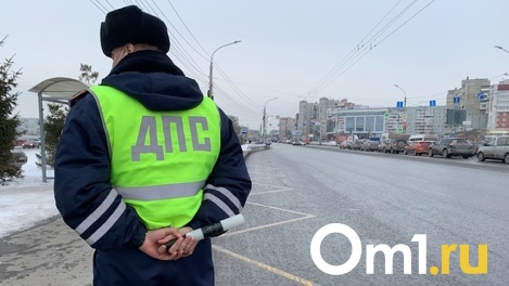 Защищала спутника: омичка может получить уголовную статью за нападение на полицейского