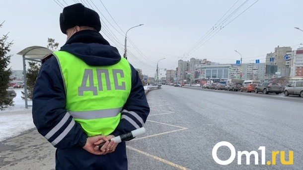 Защищала спутника: омичка может получить уголовную статью за нападение на полицейского