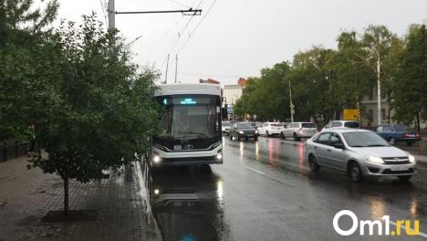 В Омске остановили движение троллейбусов в центре города