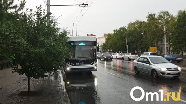 В Омске остановили движение троллейбусов в центре города