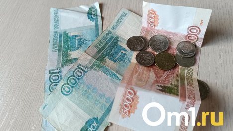 Значение цифрового рубля объяснил новосибирский экономист Коложвари
