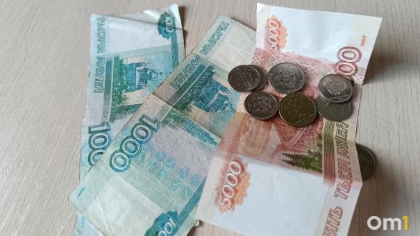 Значение цифрового рубля объяснил новосибирский экономист Коложвари