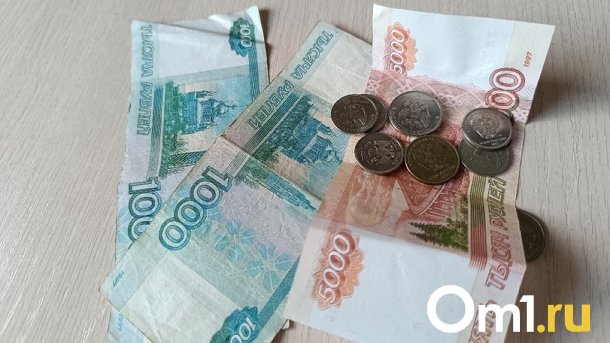 Значение цифрового рубля объяснил новосибирский экономист Коложвари