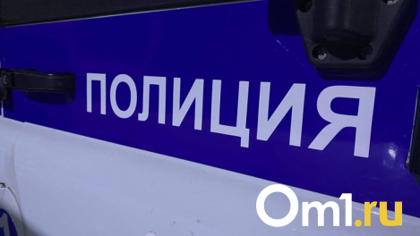 Байкером, который сбил ребёнка в Омской области, оказался 15-летний парень