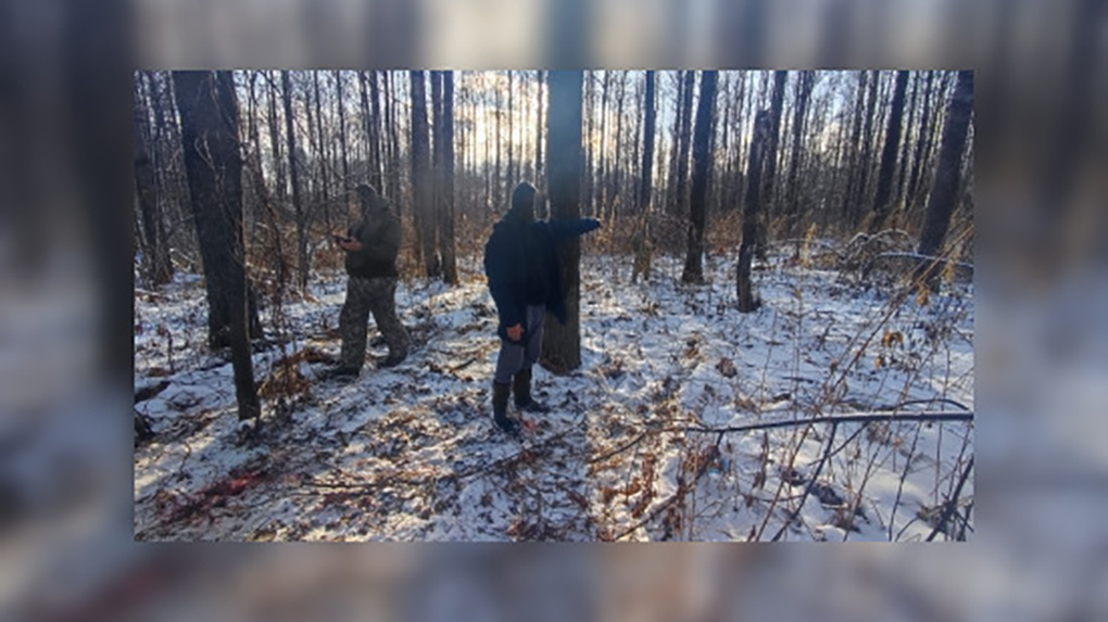 В лесу под Новосибирском охотник принял знакомого за косулю и убил