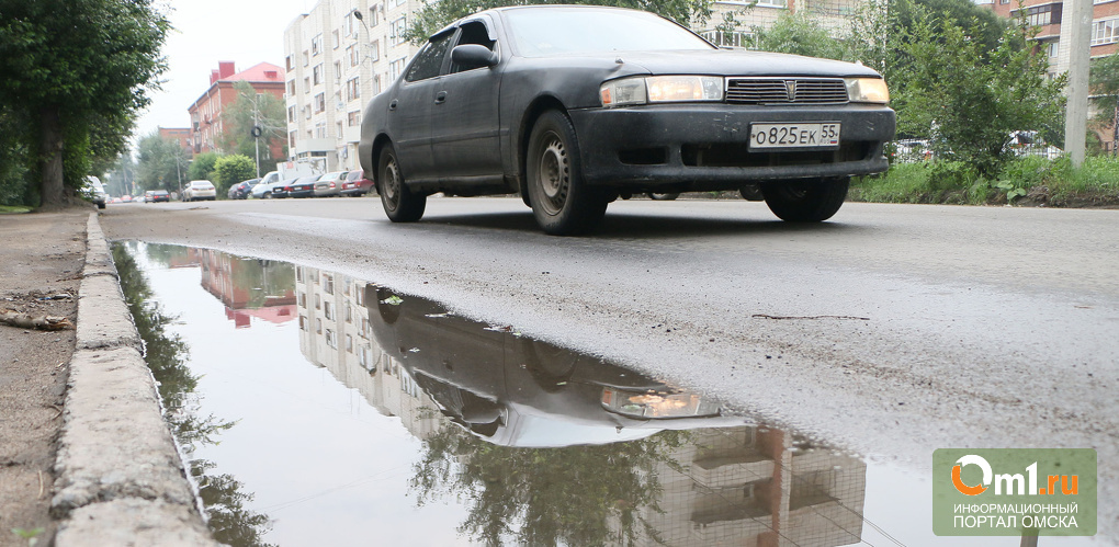 Доцент СибАДИ придумал творческое решение проблемы с «ливнёвкой» на улице Пушкина в Омске