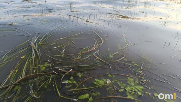 Меньше 80 см: Обь обмелела из-за уменьшения сбросов воды Новосибирской ГЭС