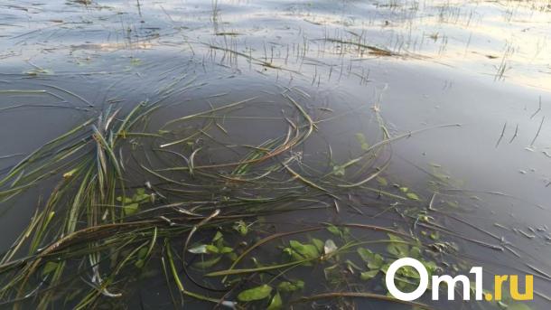 Меньше 80 см: Обь обмелела из-за уменьшения сбросов воды Новосибирской ГЭС