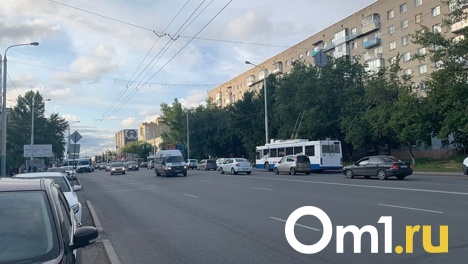 Омск вошёл в топ-10 по числу аварий из-за плохих дорог и машин