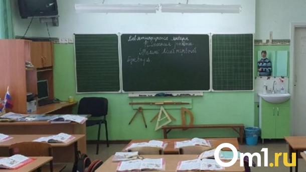 В омской школе месяц не преподавали русский язык и литературу