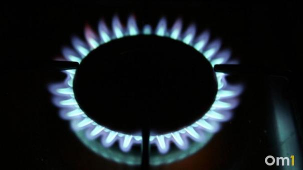 Жители СНТ под Новосибирском дождутся голубого топлива только через семь лет